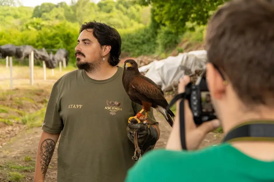 Falconiere Campania - Bird control e allontanamento volatili